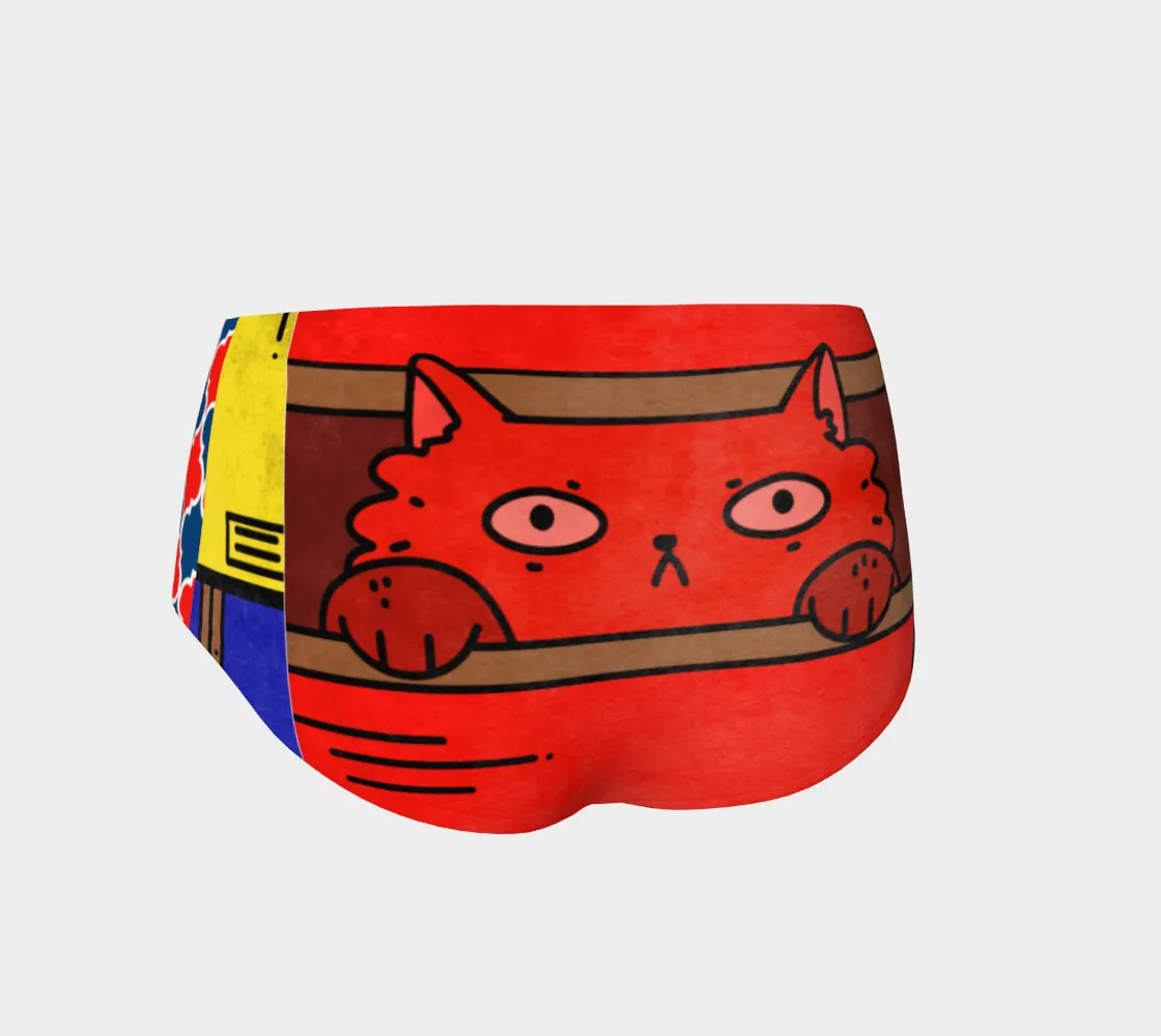Cat in a Box Swim Briefs