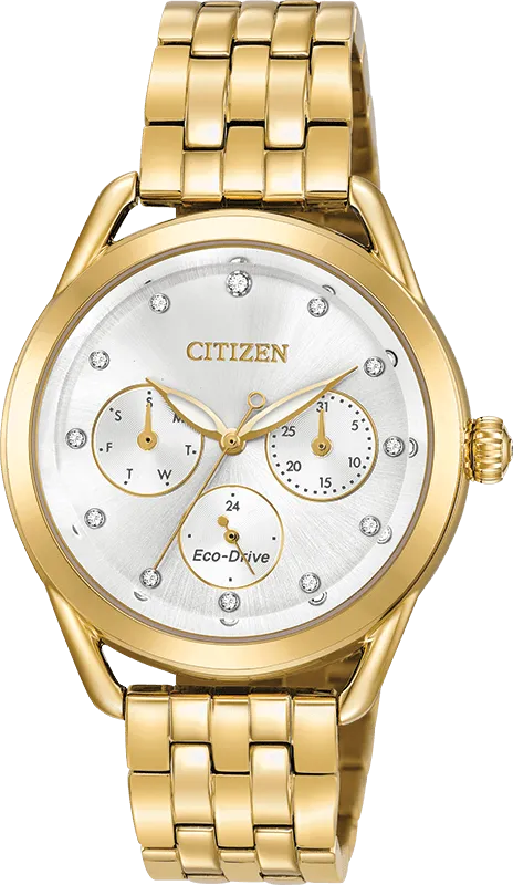 Citizen Eco Drive Ltr (Long-Term Relationship) Women's Watch FD2052-58A