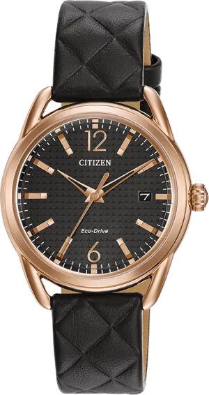Citizen Eco Drive Ltr (Long-Term Relationship) Women's Watch FE6083-13E