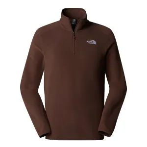 Men's 100 Glacier 1/4 Zip Fleece