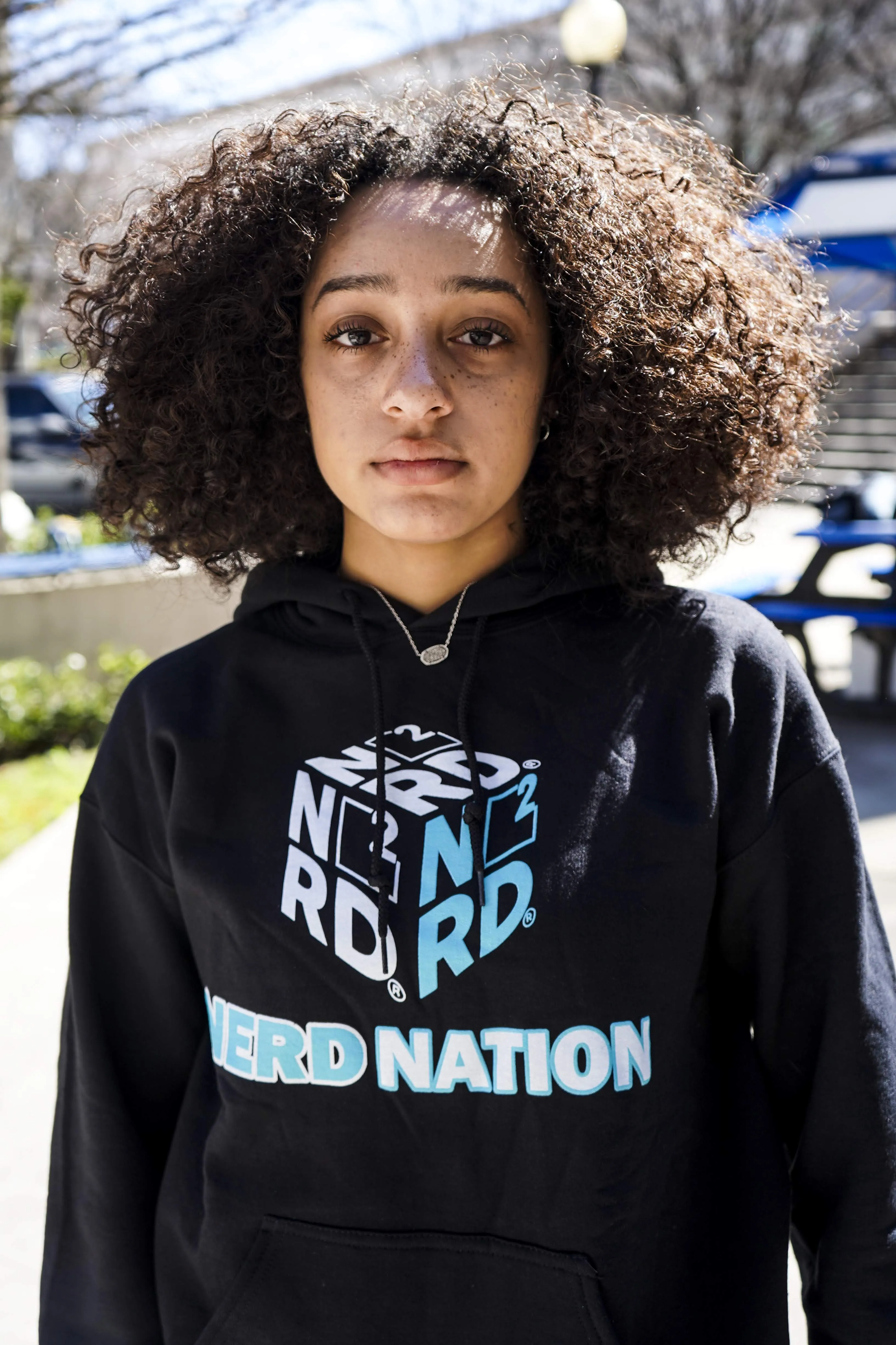 Nerd Nation Hoodies