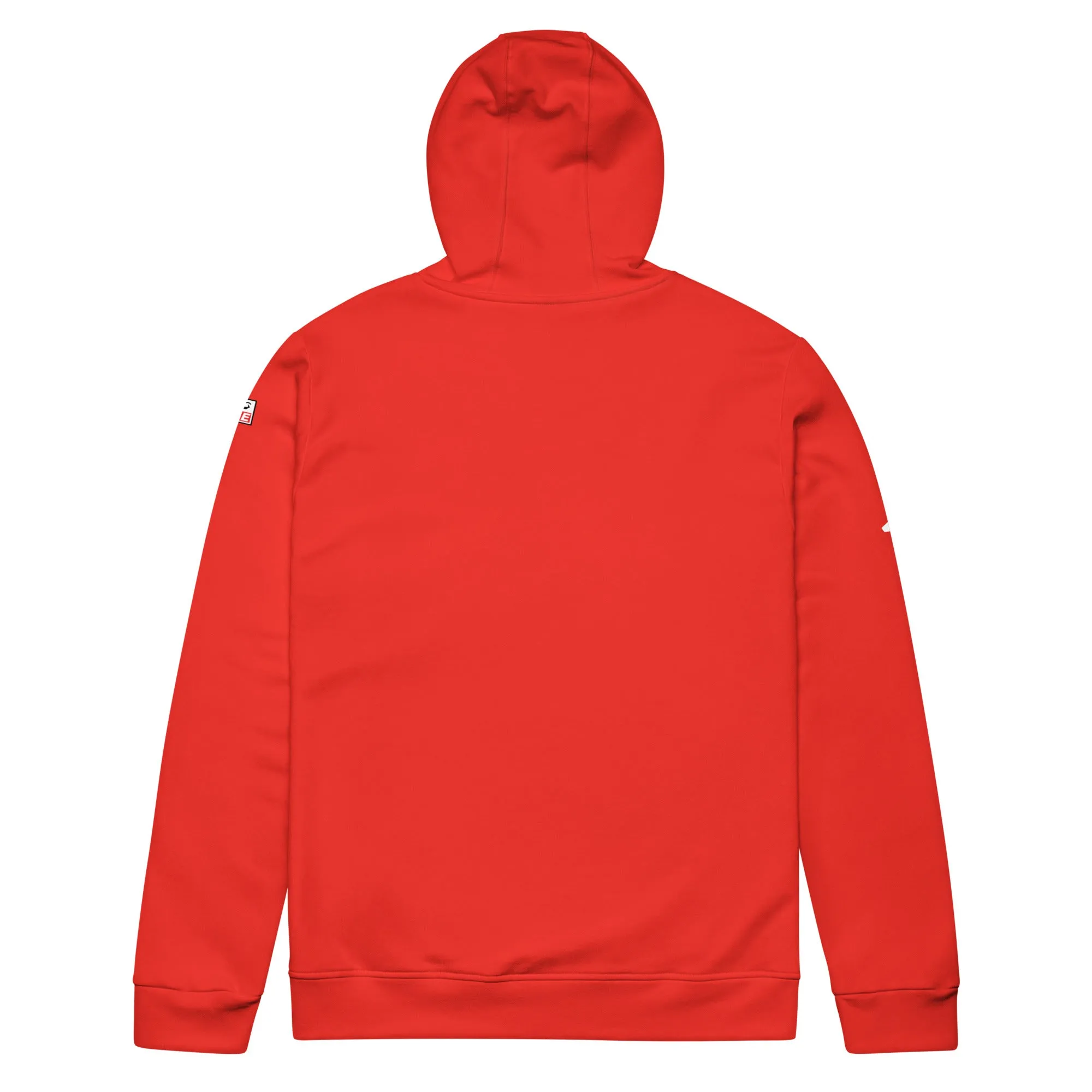Panjab Vybe - adidas fleece hoodie multiple colors