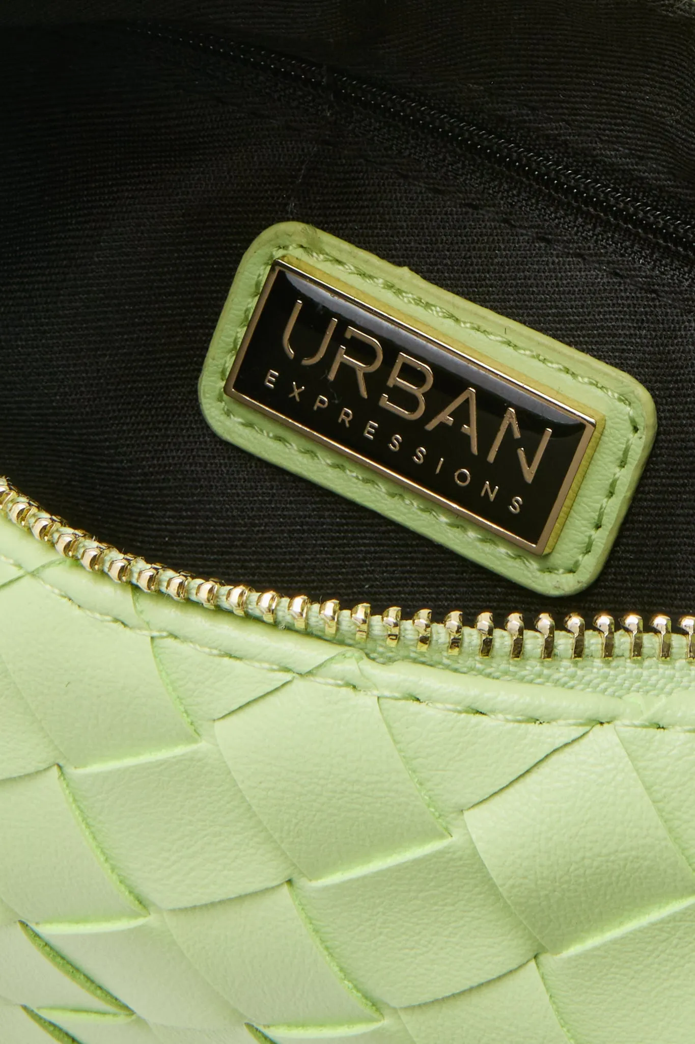 Pistachio Lizbeth Bag