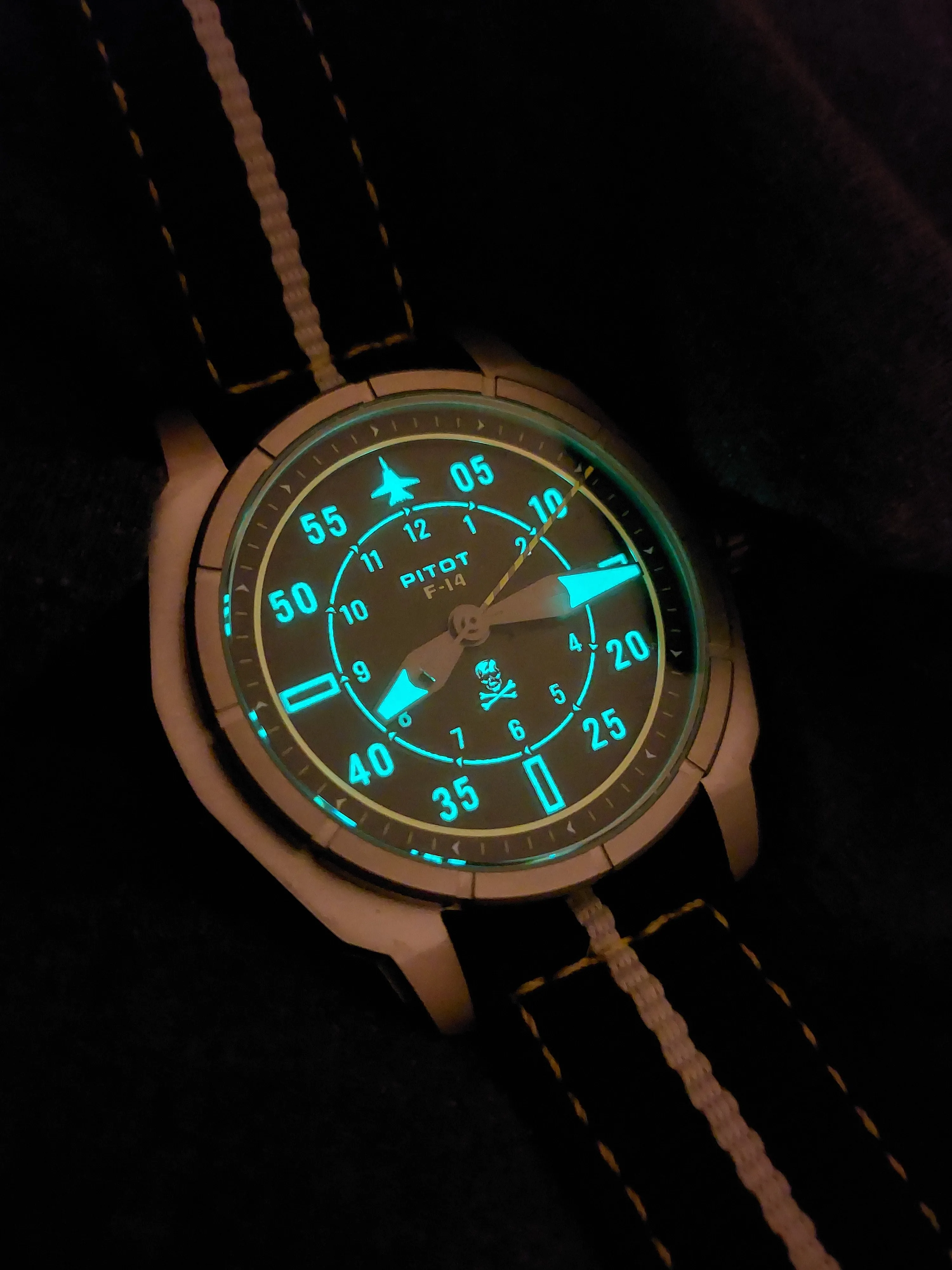 PITOT Watches: F-14 Tomcat Jolly Rogers inspired watch