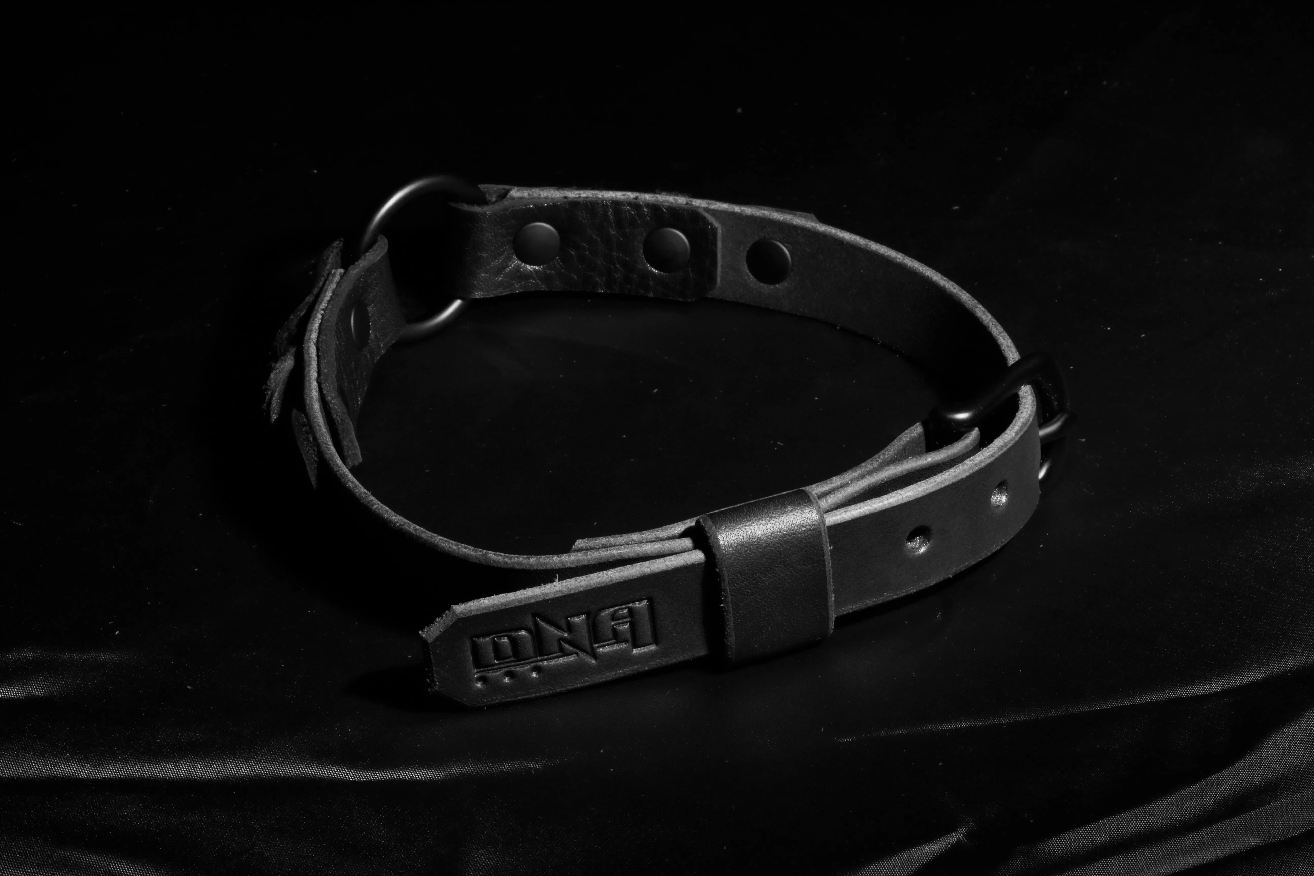 "Dark Nebula" Parallax Fashion Night Collar