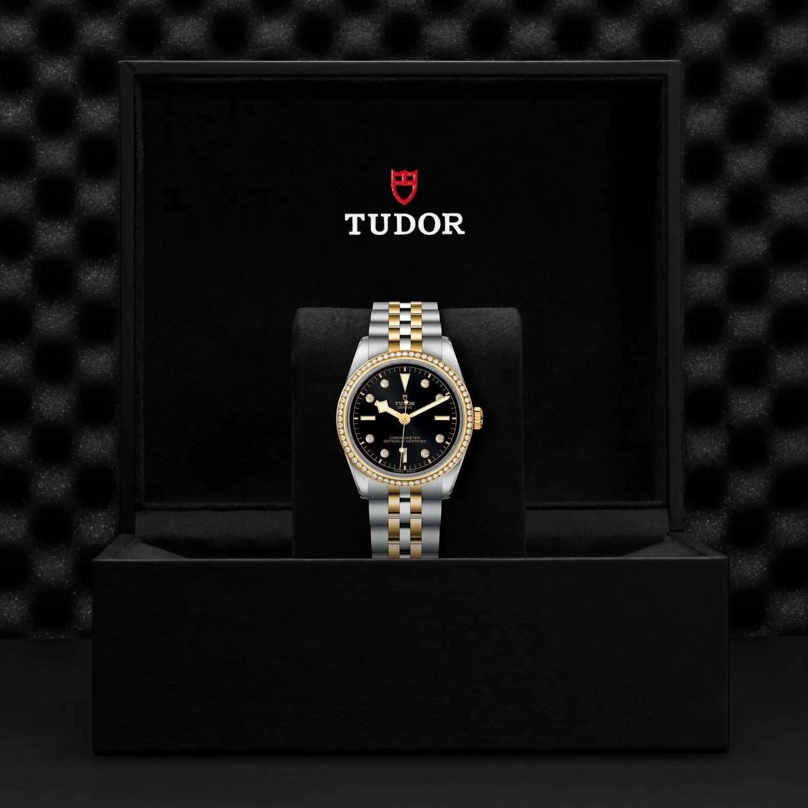 Tudor Black Bay 36 S&G