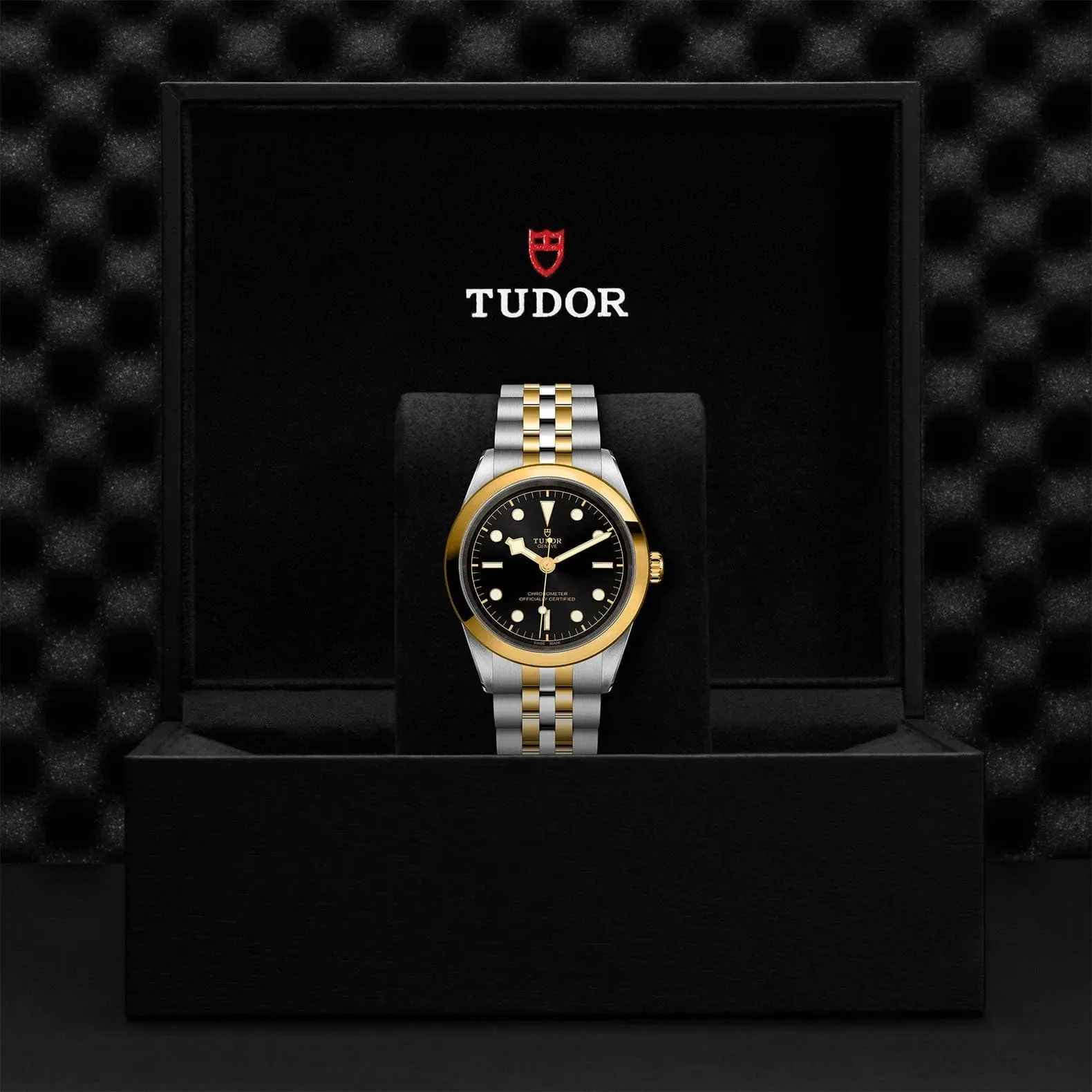 TUDOR Black Bay S&G