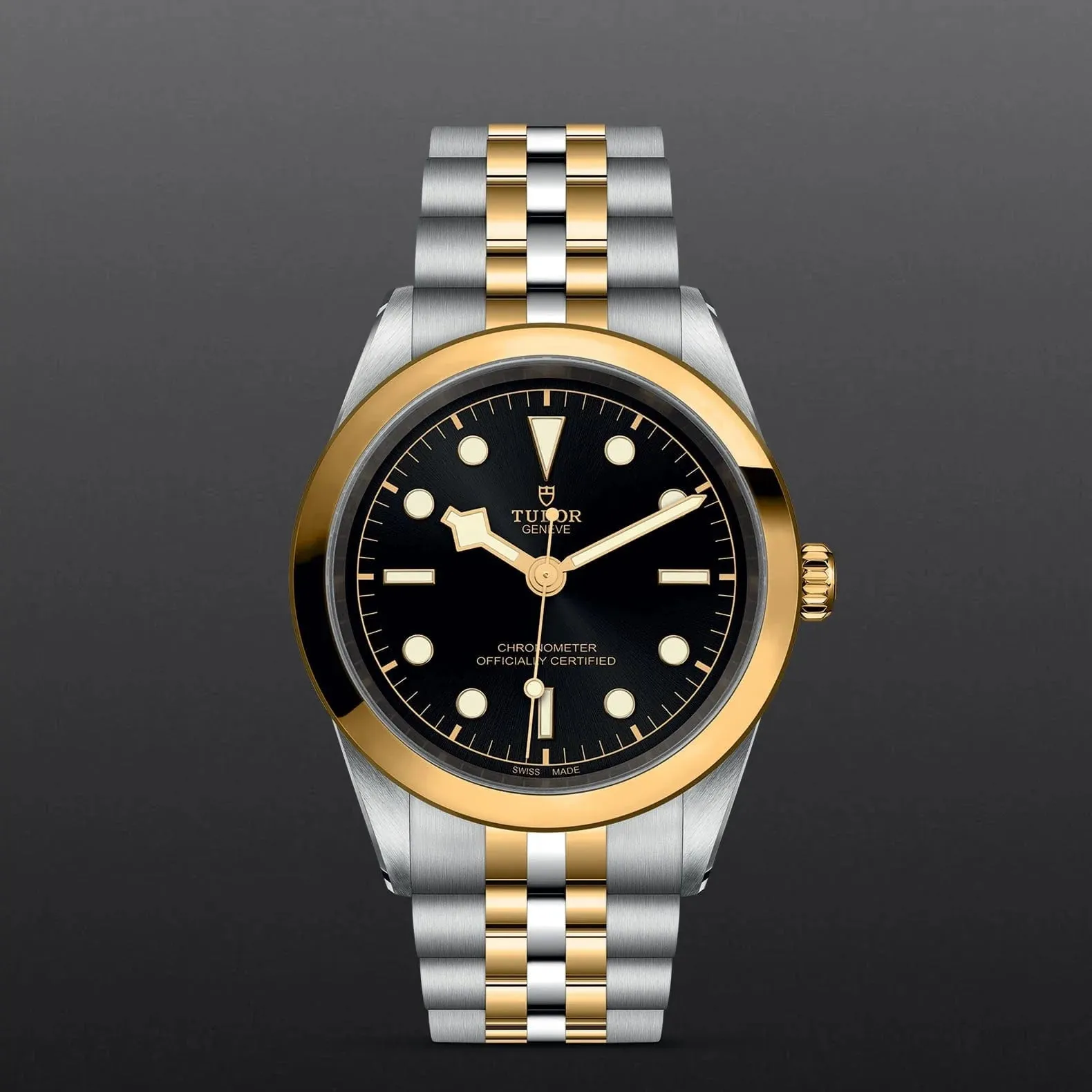 TUDOR Black Bay S&G