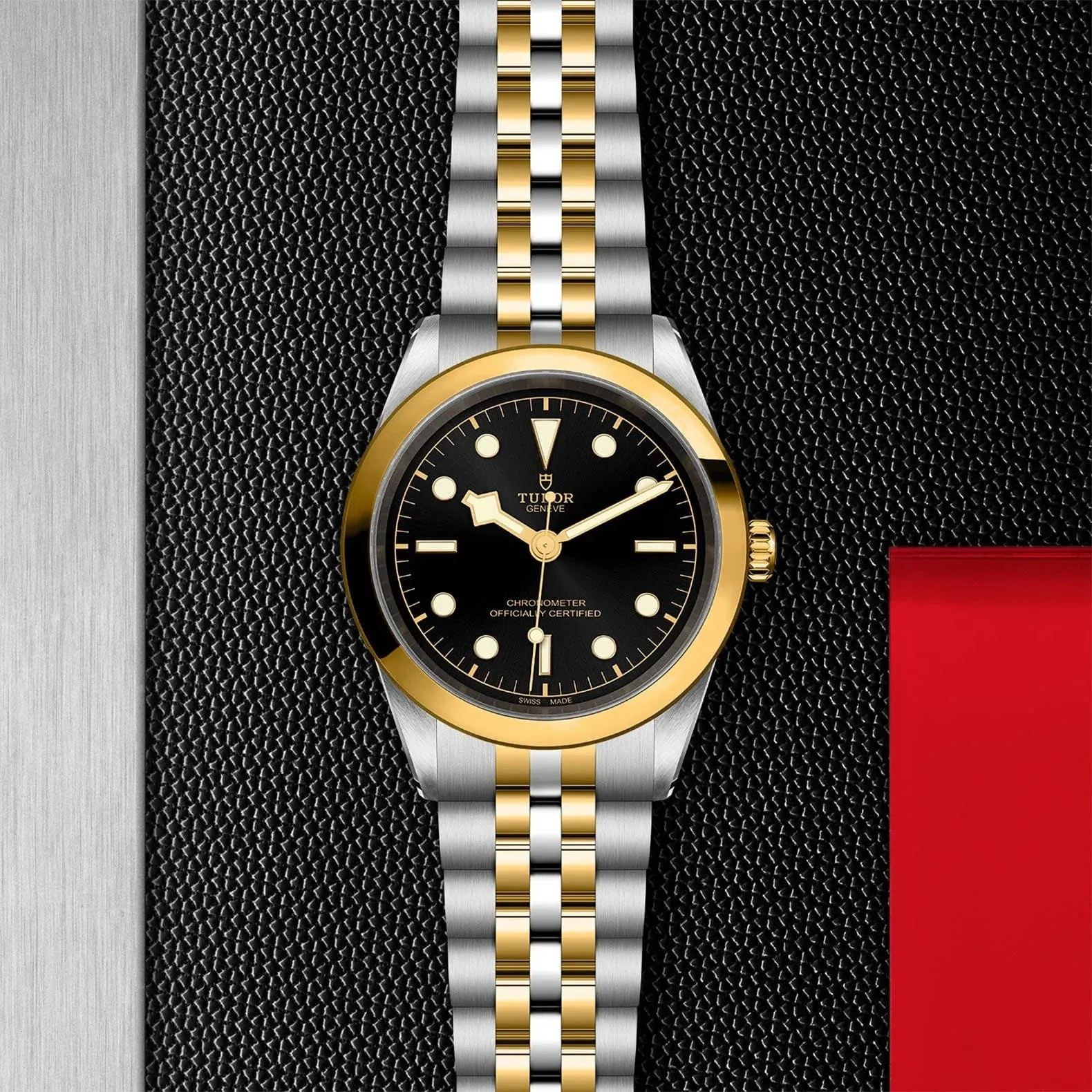 TUDOR Black Bay S&G