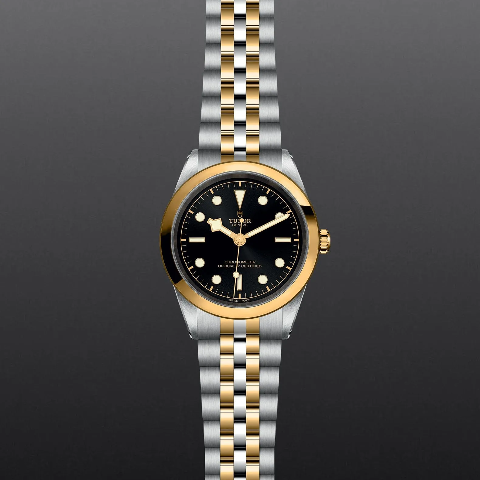 TUDOR Black Bay S&G