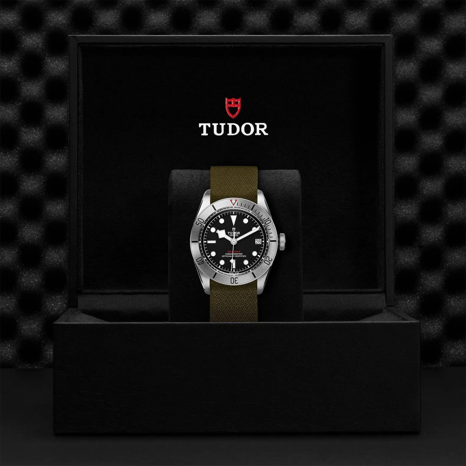 TUDOR Black Bay Steel